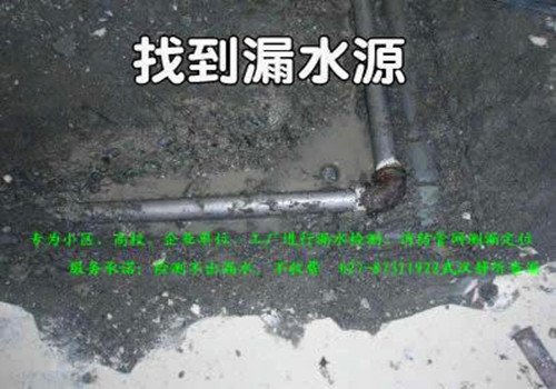 38483133_3.jpg